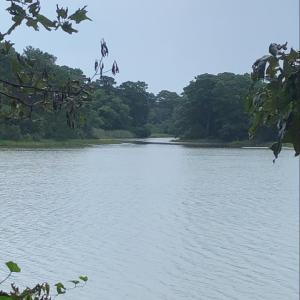Photo #8 of 117 CREEKSIDE LN, CAPE CHARLES, VA 0.9 acres