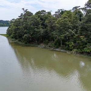 Photo #10 of 117 CREEKSIDE LN, CAPE CHARLES, VA 0.9 acres