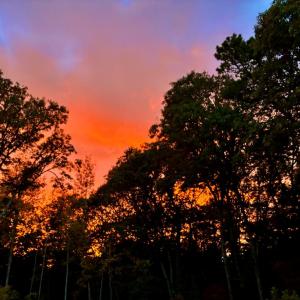 Photo #15 of 117 CREEKSIDE LN, CAPE CHARLES, VA 0.9 acres