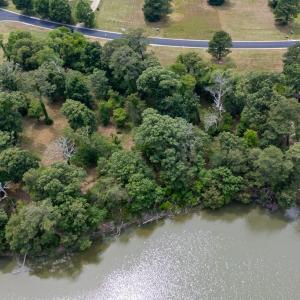 Photo #9 of 117 CREEKSIDE LN, CAPE CHARLES, VA 0.9 acres