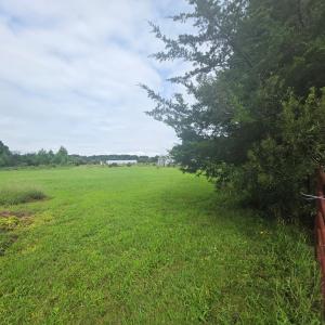 Photo #4 of 2.995 AC PLANTATION RD, ONANCOCK, VA 130.0 acres