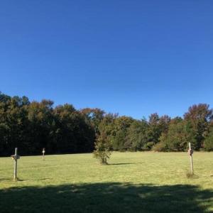 Photo #6 of 2.995 AC PLANTATION RD, ONANCOCK, VA 130.0 acres