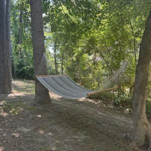 Photo #12 of 185&186 HAWTHORN CT, HORNTOWN, VA 0.2 acres