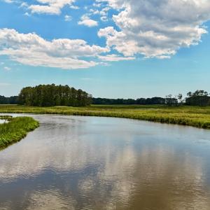 Photo #3 of Lot 2A MILES RD, NEW CHURCH, VA 111.0 acres