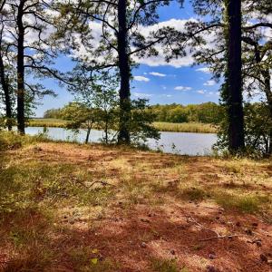 Photo #5 of Lot 2A MILES RD, NEW CHURCH, VA 111.0 acres