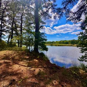 Photo #6 of Lot 2A MILES RD, NEW CHURCH, VA 111.0 acres