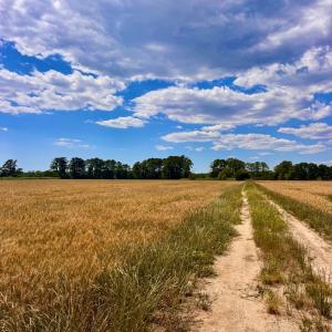 Photo #7 of Lot 2A MILES RD, NEW CHURCH, VA 111.0 acres