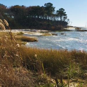 Photo #10 of Lot 24 PEACEFUL LAKES DR, EXMORE, VA 1.6 acres