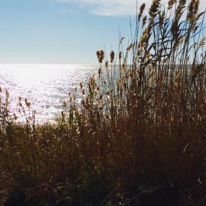 Photo #11 of Lot 24 PEACEFUL LAKES DR, EXMORE, VA 1.6 acres
