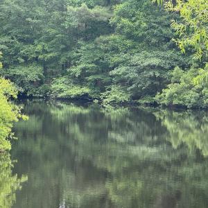 Photo #3 of Lot 24 PEACEFUL LAKES DR, EXMORE, VA 1.6 acres