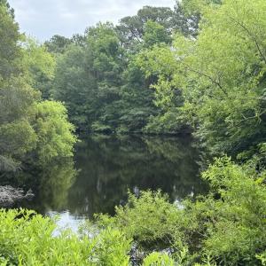 Photo #4 of Lot 24 PEACEFUL LAKES DR, EXMORE, VA 1.6 acres
