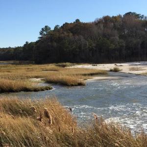 Photo #9 of Lot 24 PEACEFUL LAKES DR, EXMORE, VA 1.6 acres