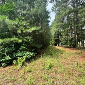 Photo #2 of HADEN CIR, PAINTER, VA 2.8 acres