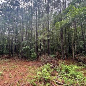 Photo #4 of HADEN CIR, PAINTER, VA 2.8 acres