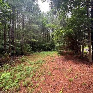 Photo #6 of HADEN CIR, PAINTER, VA 2.8 acres