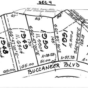Photo #3 of 1950 BUCCANEER BLVD, GREENBACKVILLE, VA 69.0 acres