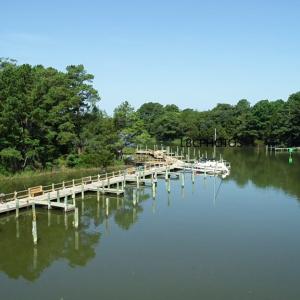 Photo #12 of Lot 17 PLUM TREE RD, CAPE CHARLES, VA 1.1 acres