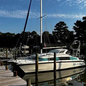 Photo #8 of Lot 17 PLUM TREE RD, CAPE CHARLES, VA 1.1 acres