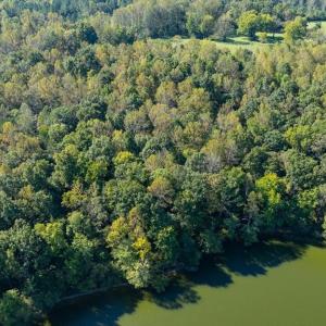 Photo #15 of 16105 HARRIS CT, ORANGE, VA 2.1 acres