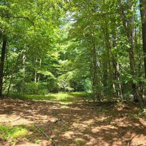 Photo #2 of A-B AIRPORT DR, MELFA, VA 13.0 acres