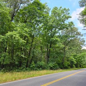 Photo #3 of A-B AIRPORT DR, MELFA, VA 13.0 acres