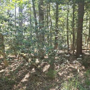 Photo #2 of Lot B4 SALTWORKS RD, JAMESVILLE, VA 3.5 acres