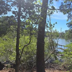 Photo #3 of Lot B4 SALTWORKS RD, JAMESVILLE, VA 3.5 acres