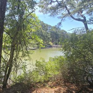 Photo #4 of Lot B4 SALTWORKS RD, JAMESVILLE, VA 3.5 acres