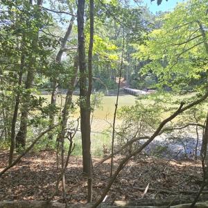 Photo #5 of Lot B4 SALTWORKS RD, JAMESVILLE, VA 3.5 acres