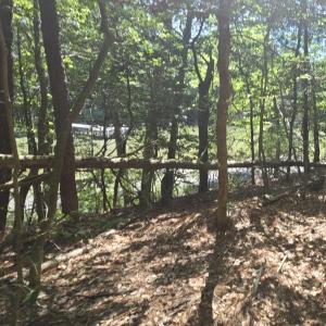 Photo #6 of Lot B4 SALTWORKS RD, JAMESVILLE, VA 3.5 acres