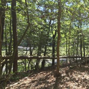 Photo #7 of Lot B4 SALTWORKS RD, JAMESVILLE, VA 3.5 acres