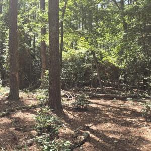 Photo #9 of Lot B4 SALTWORKS RD, JAMESVILLE, VA 3.5 acres