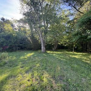 Photo #4 of 15001 WINTERVILLE RD, BLOXOM, VA 9.0 acres