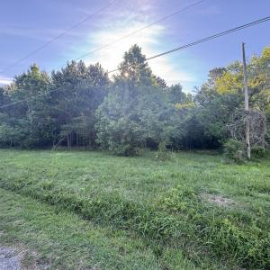 Photo #5 of 15001 WINTERVILLE RD, BLOXOM, VA 9.0 acres