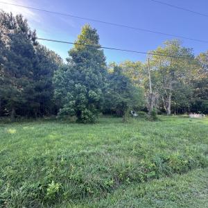 Photo #6 of 15001 WINTERVILLE RD, BLOXOM, VA 9.0 acres