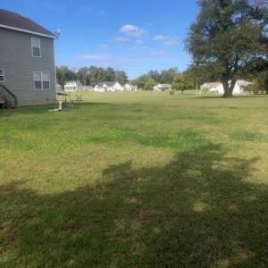 Photo #2 of 261 PIKE DR, GREENBACKVILLE, VA 65.0 acres