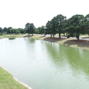 Photo #9 of 20 BRIDGETON DRIVE, CAPE CHARLES, VA 10.0 acres