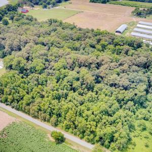 Photo #2 of 16 BOGUES BAY DR, ATLANTIC, VA 3.0 acres