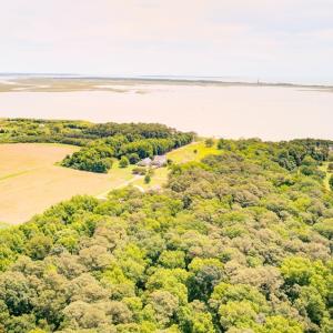 Photo #5 of 16 BOGUES BAY DR, ATLANTIC, VA 3.0 acres