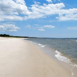 Photo #12 of Lot 33 ENGLISH CT, CAPE CHARLES, VA 0.2 acres