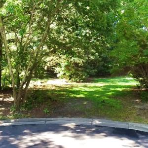 Photo #8 of Lot 33 ENGLISH CT, CAPE CHARLES, VA 0.2 acres