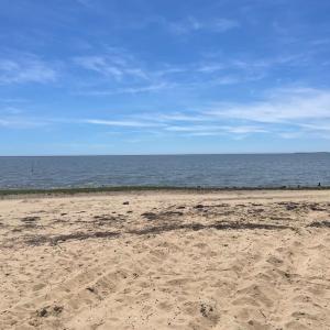Photo #8 of Lot 3 BURTONS SHORE RD, LOCUSTVILLE, VA 0.5 acres