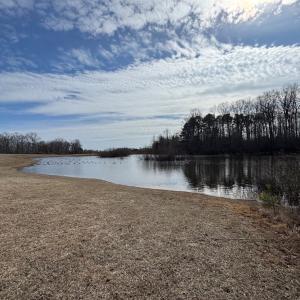 Photo #10 of Lot 112 COVENTON LANE, HORNTOWN, VA 3.2 acres