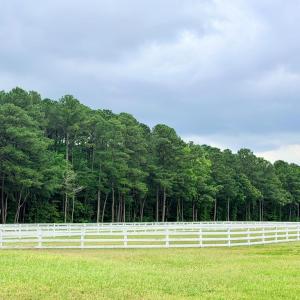 Photo #36 of Lot 18 BENSON DR, NEW CHURCH, VA 4.0 acres