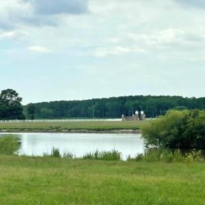 Photo #37 of Lot 18 BENSON DR, NEW CHURCH, VA 4.0 acres