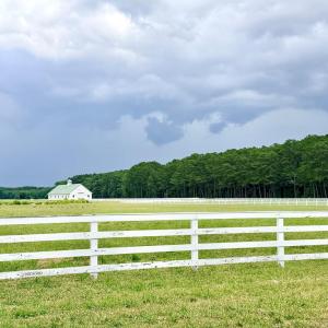 Photo #41 of Lot 18 BENSON DR, NEW CHURCH, VA 4.0 acres