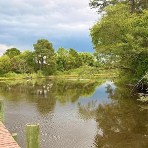 Photo #51 of Lot 18 BENSON DR, NEW CHURCH, VA 4.0 acres