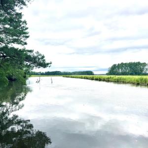 Photo #54 of Lot 18 BENSON DR, NEW CHURCH, VA 4.0 acres