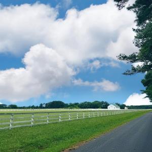 Photo #58 of Lot 18 BENSON DR, NEW CHURCH, VA 4.0 acres