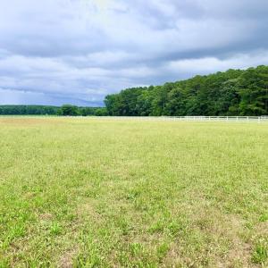 Photo #6 of Lot 18 BENSON DR, NEW CHURCH, VA 4.0 acres
